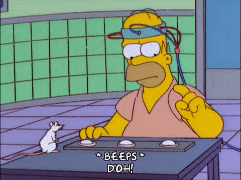 Homer Simpson Rat Testing