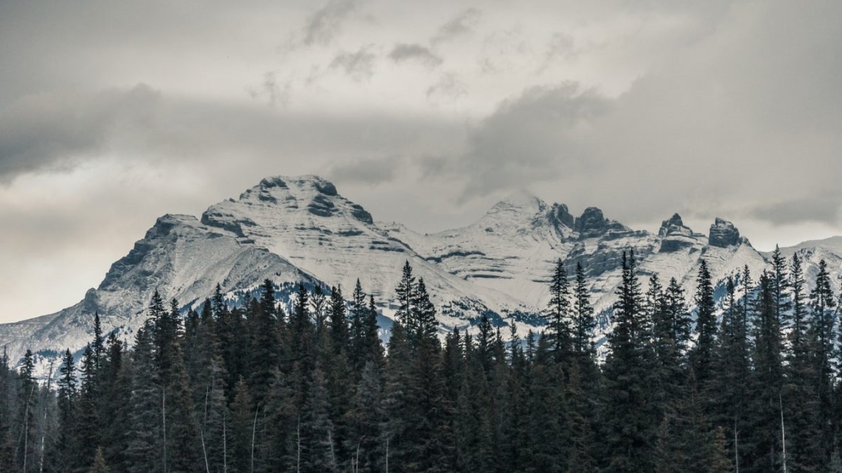 University Life as a Newcomer to Canada